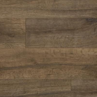 Swatch - Chester Oak