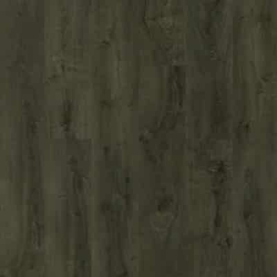 Swatch - Olive