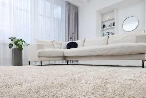 Fluffy carpet and stylish furniture on floor indoors, low angle view